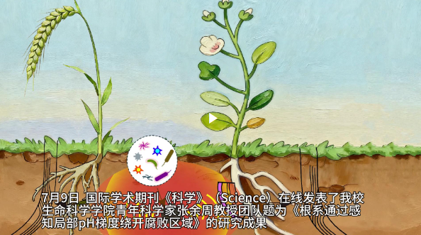 Science｜张余周团队揭示植物根系全新向性——“避腐性”