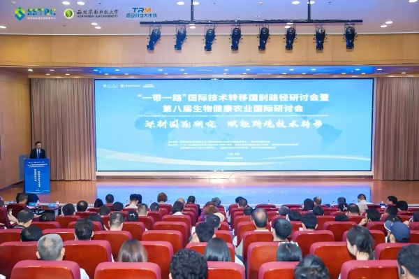 图1(改.jpg